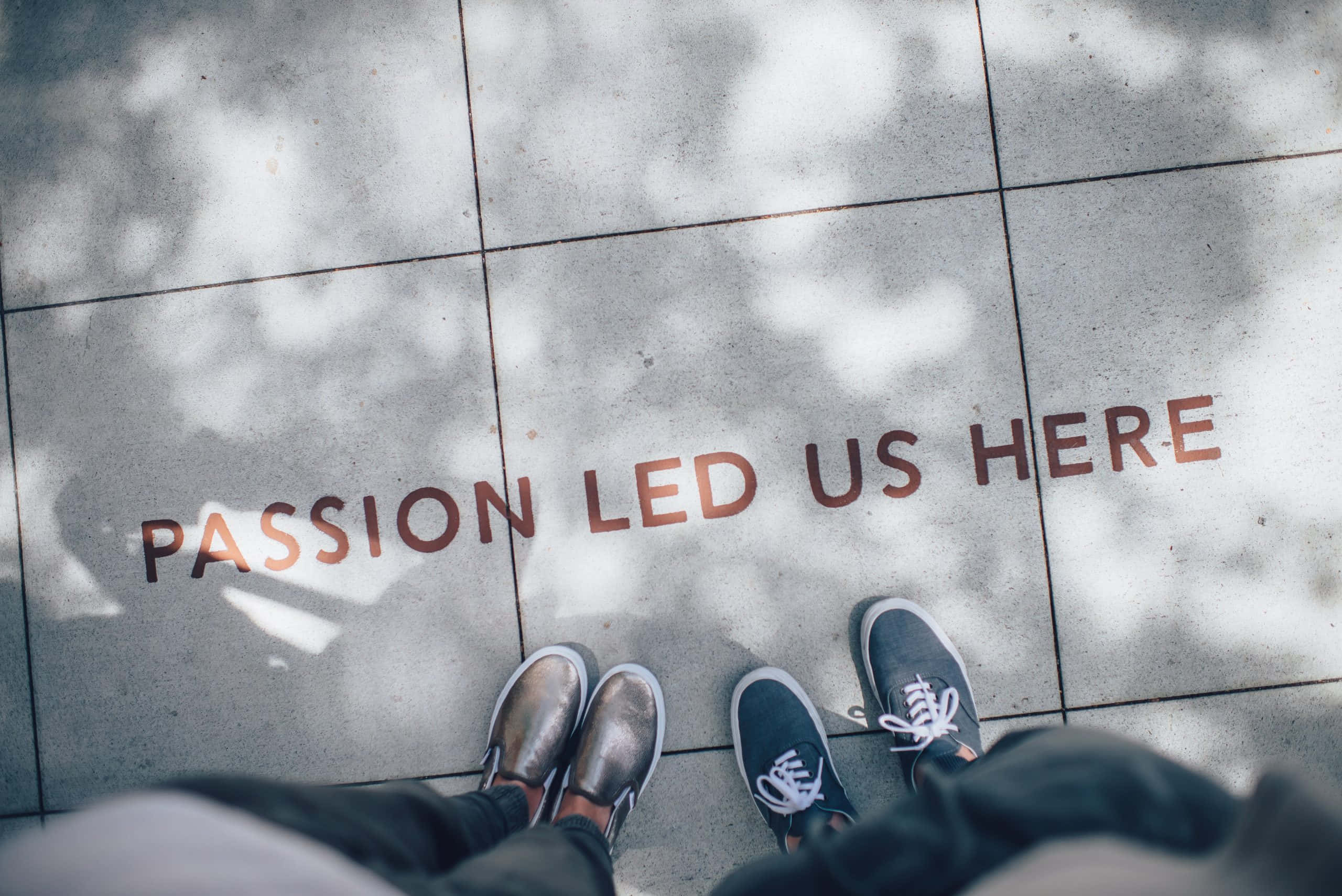 Teachable, PASSION LED US HERE, pavement, 2K Desktop Wallpaper