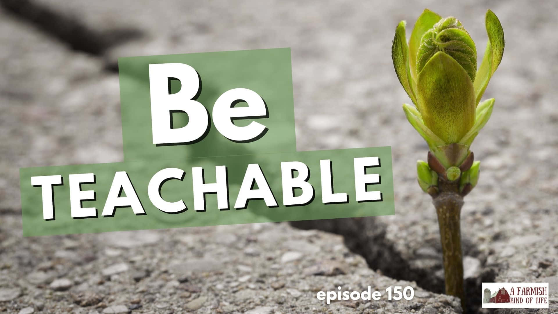 Be Teachable, episode 150, A Farmish Kind of Life, Full HD Desktop Wallpaper
