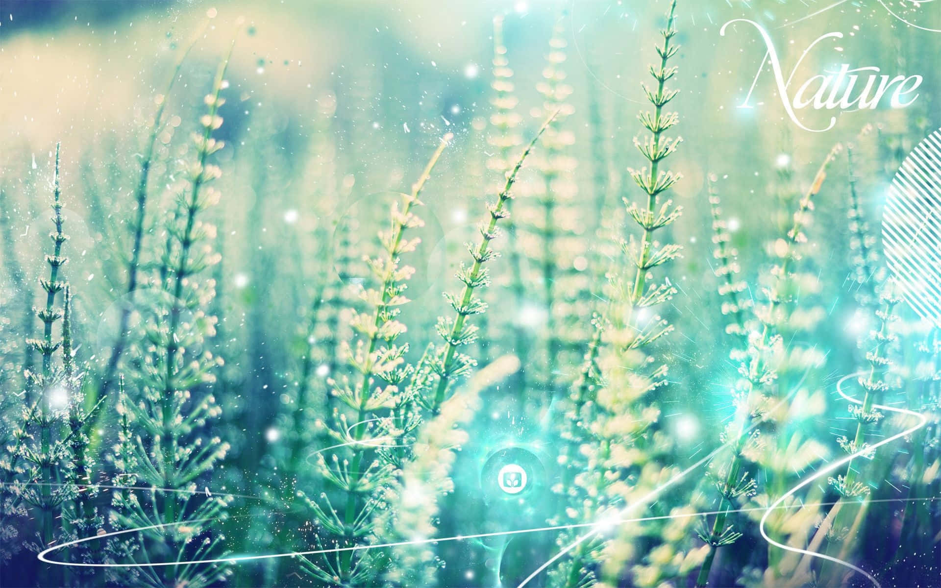 teal aesthetic laptop, dreamy, magical forest, Full HD Desktop Wallpaper