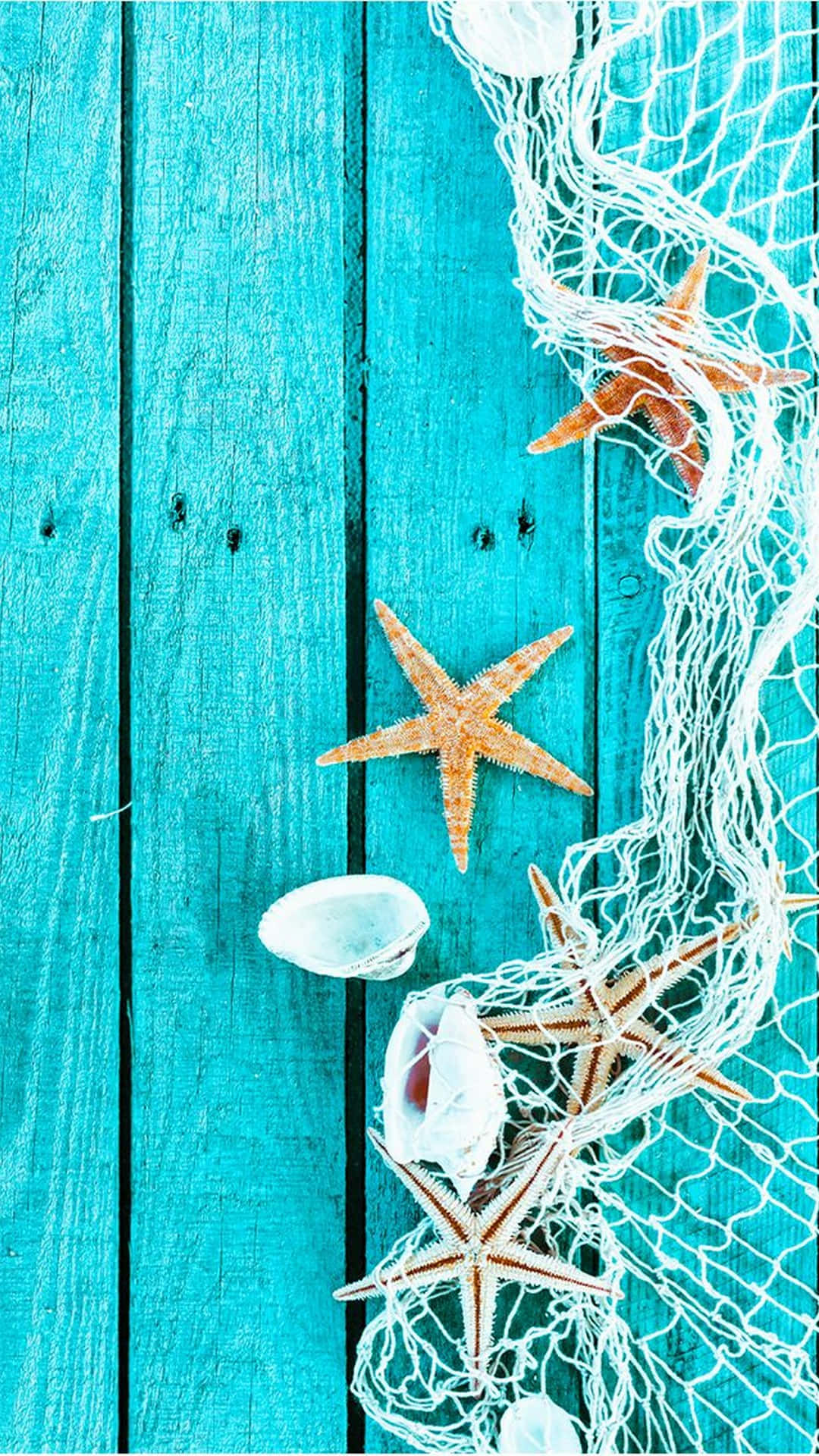 orange starfish, white seashells, turquoise wooden surface, Full HD Phone Wallpaper