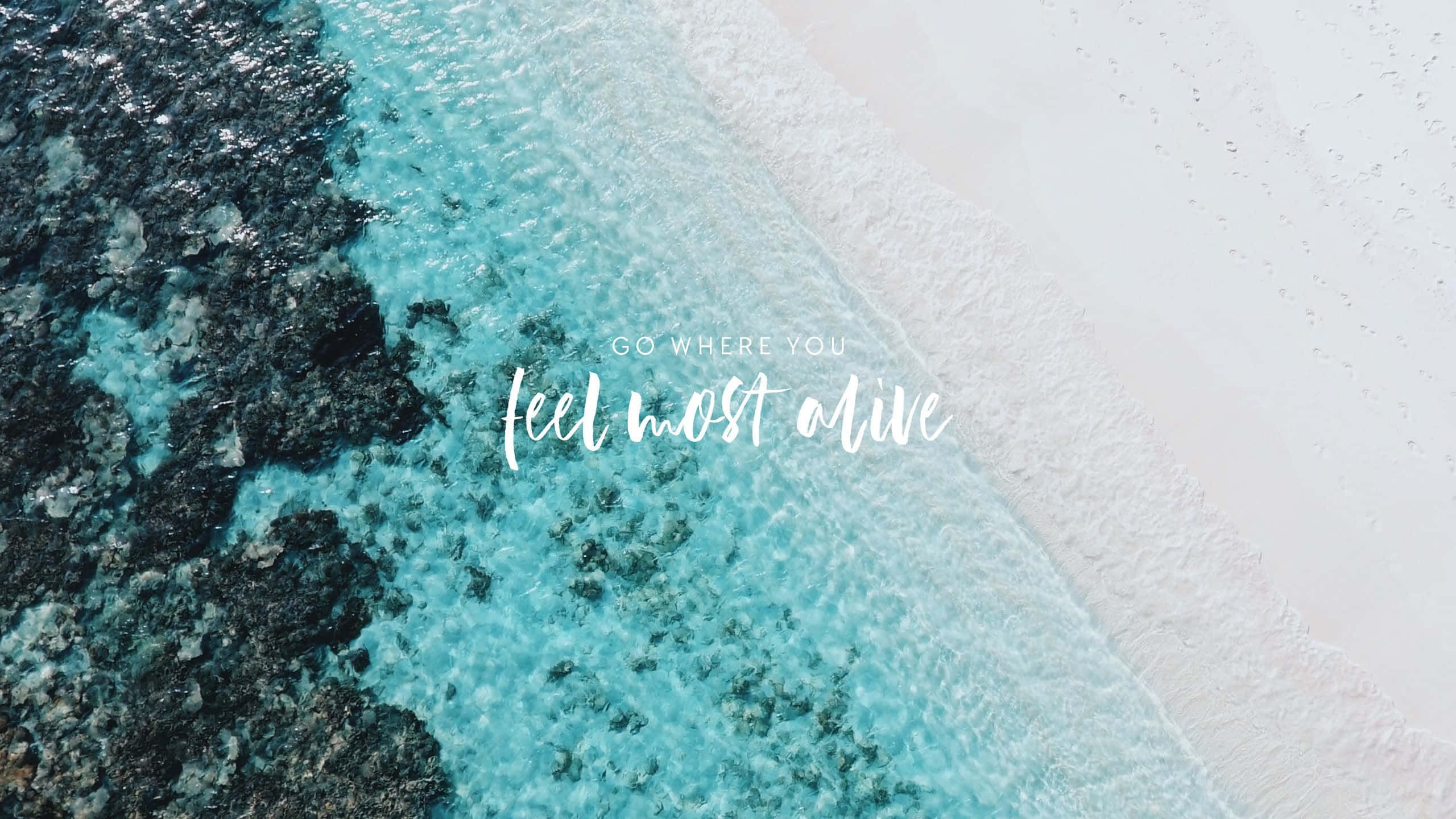 Teal Beach Desktop, turquoise waters, pristine white sand beach, 2K Desktop Wallpaper