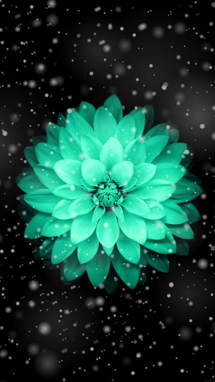 turquoise dahlia, dark backdrop, falling white snowflakes, HD Phone Wallpaper