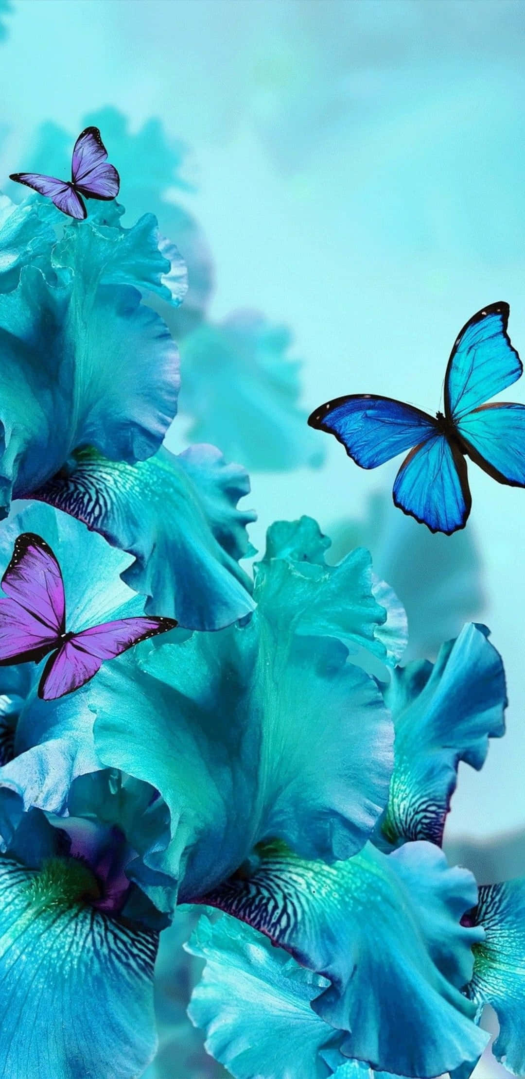 Teal Flower, butterflies, turquoise iris flowers, Full HD Phone Wallpaper