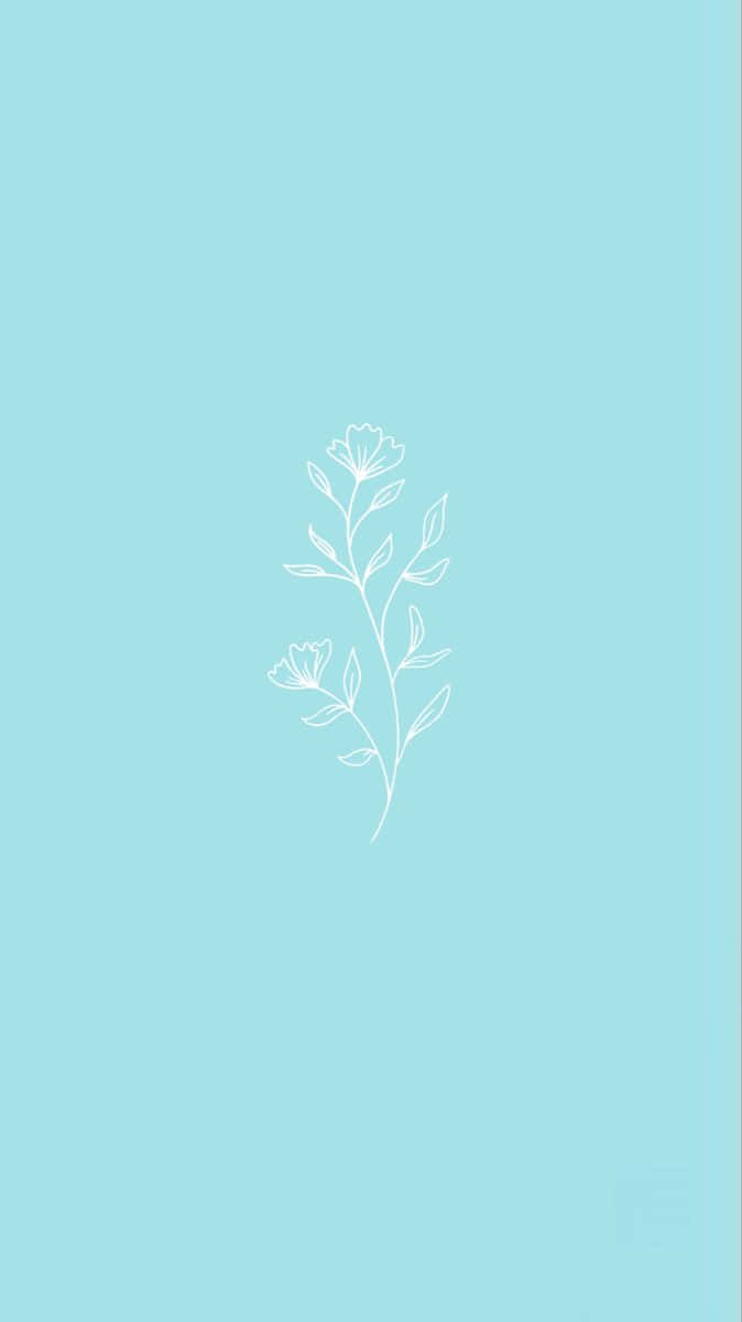 pastel teal, floral sketch, white line drawing, SD Phone Wallpaper