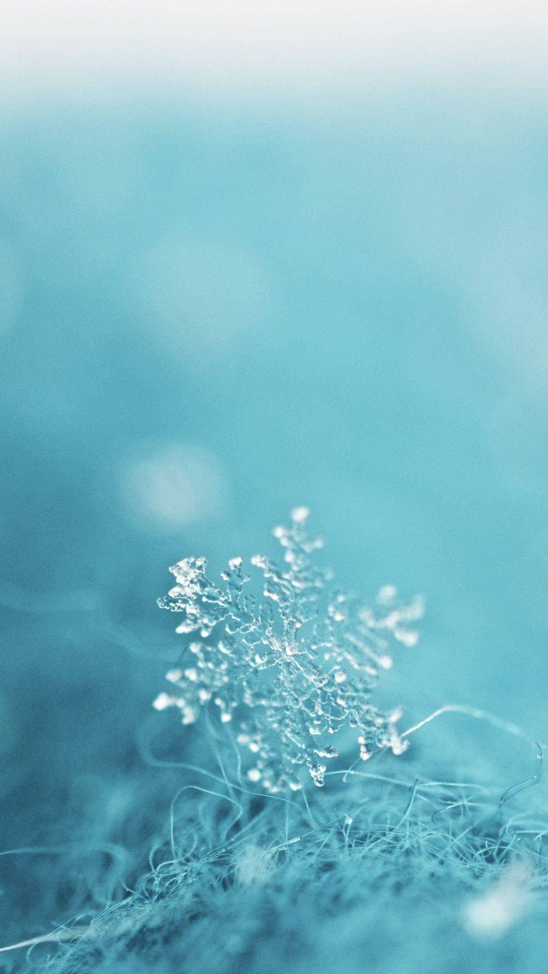 macro blur aesthetic, teal snowflake, frost crystal, Full HD Phone Wallpaper