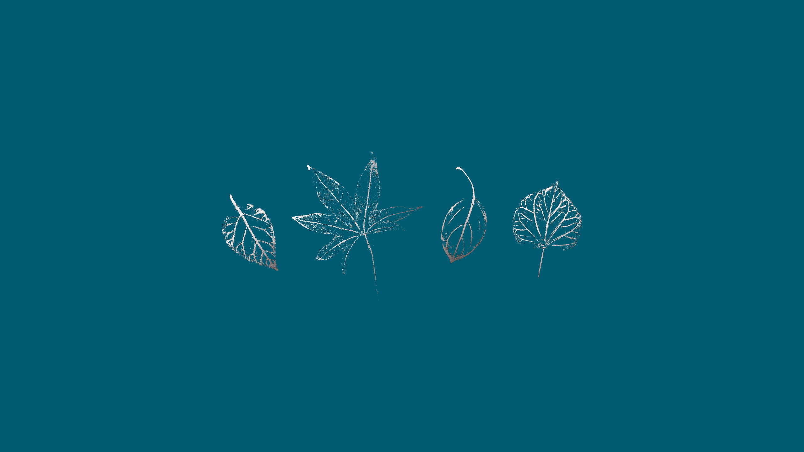 Teal, white outlined leaves, solid teal background, 2K Desktop Wallpaper