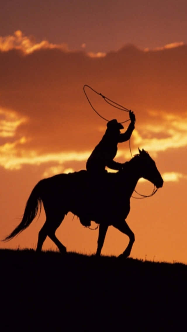 Team Roping, cowboy, horseback, SD Phone Wallpaper