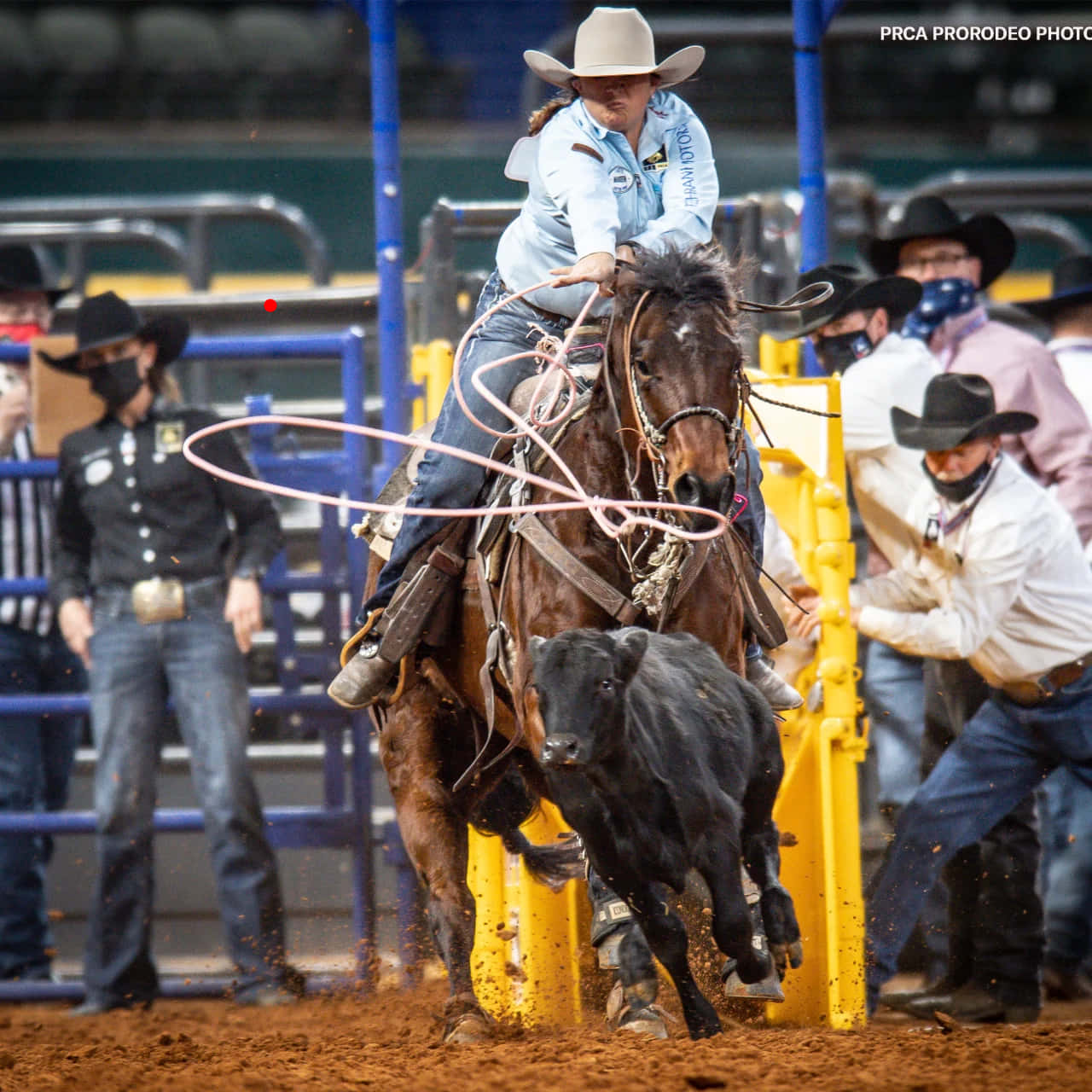 Team Roping, cowboy, galloping horse, HD Desktop Wallpaper