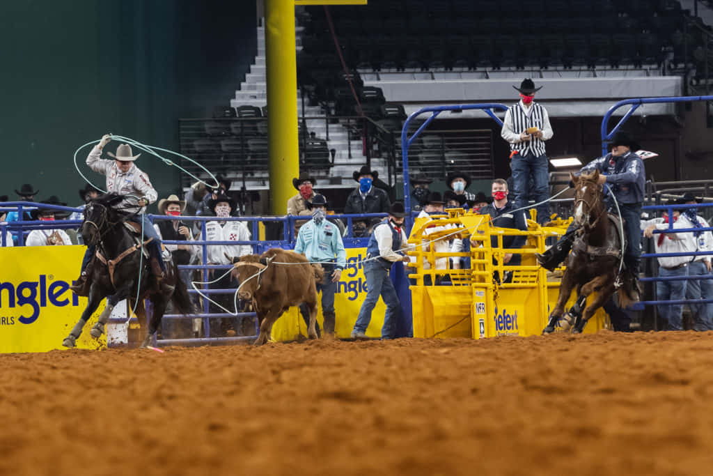 Team Roping, bucking horse, calf, SD Desktop Wallpaper