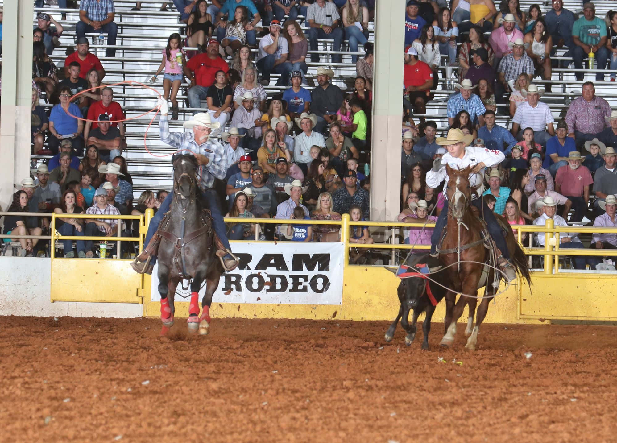Team Roping, cowboys, galloping horses, Full HD Desktop Wallpaper