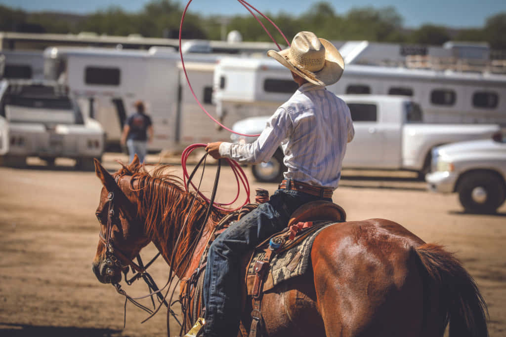 Team Roping, straw hat, brown horse, SD Desktop Wallpaper