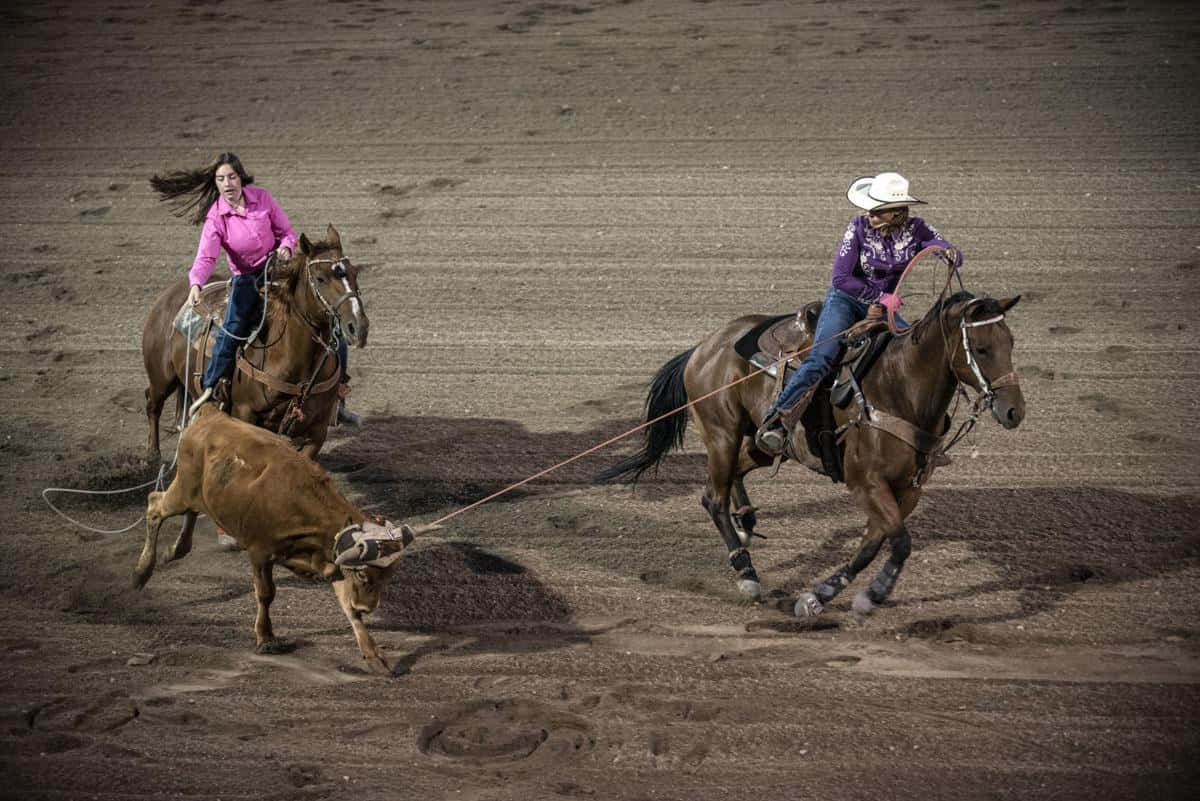 Team Roping, cowgirls, horses, SD Desktop Wallpaper