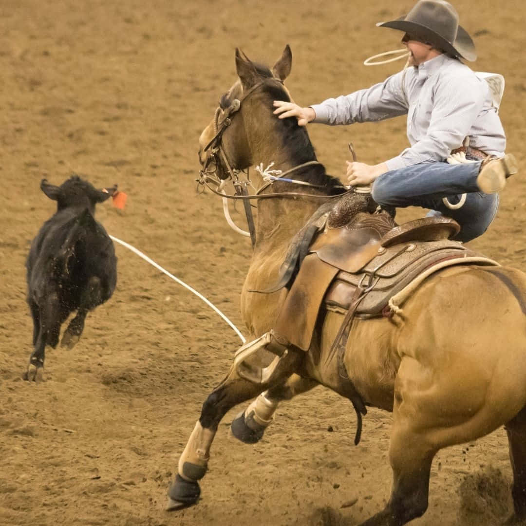 Team Roping, cowboy, bucking horse, SD Desktop Wallpaper