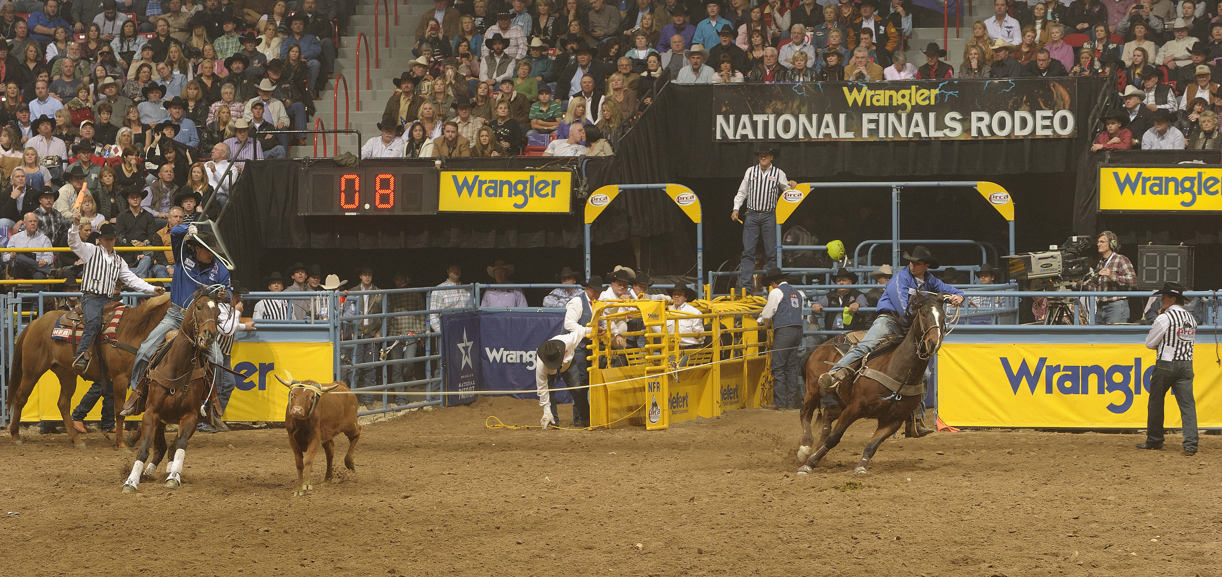 team roping, rodeo arena, stadium lights, 4K Desktop Wallpaper