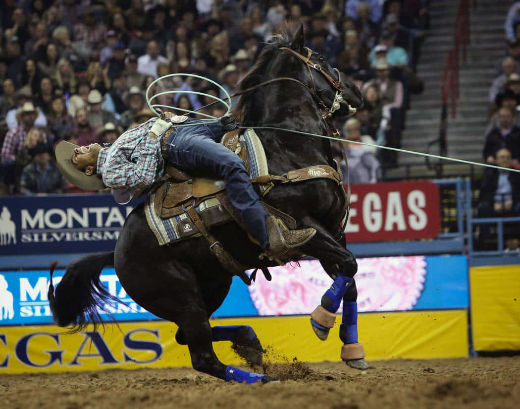 Team Roping, cowboy, plaid shirt, SD Desktop Wallpaper