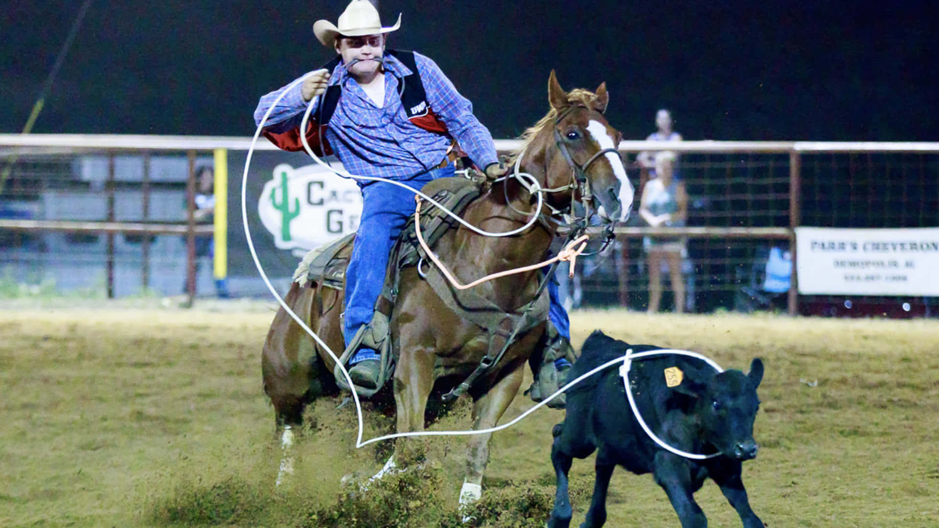 Team Roping, black calf, cowboy hat, Full HD Desktop Wallpaper