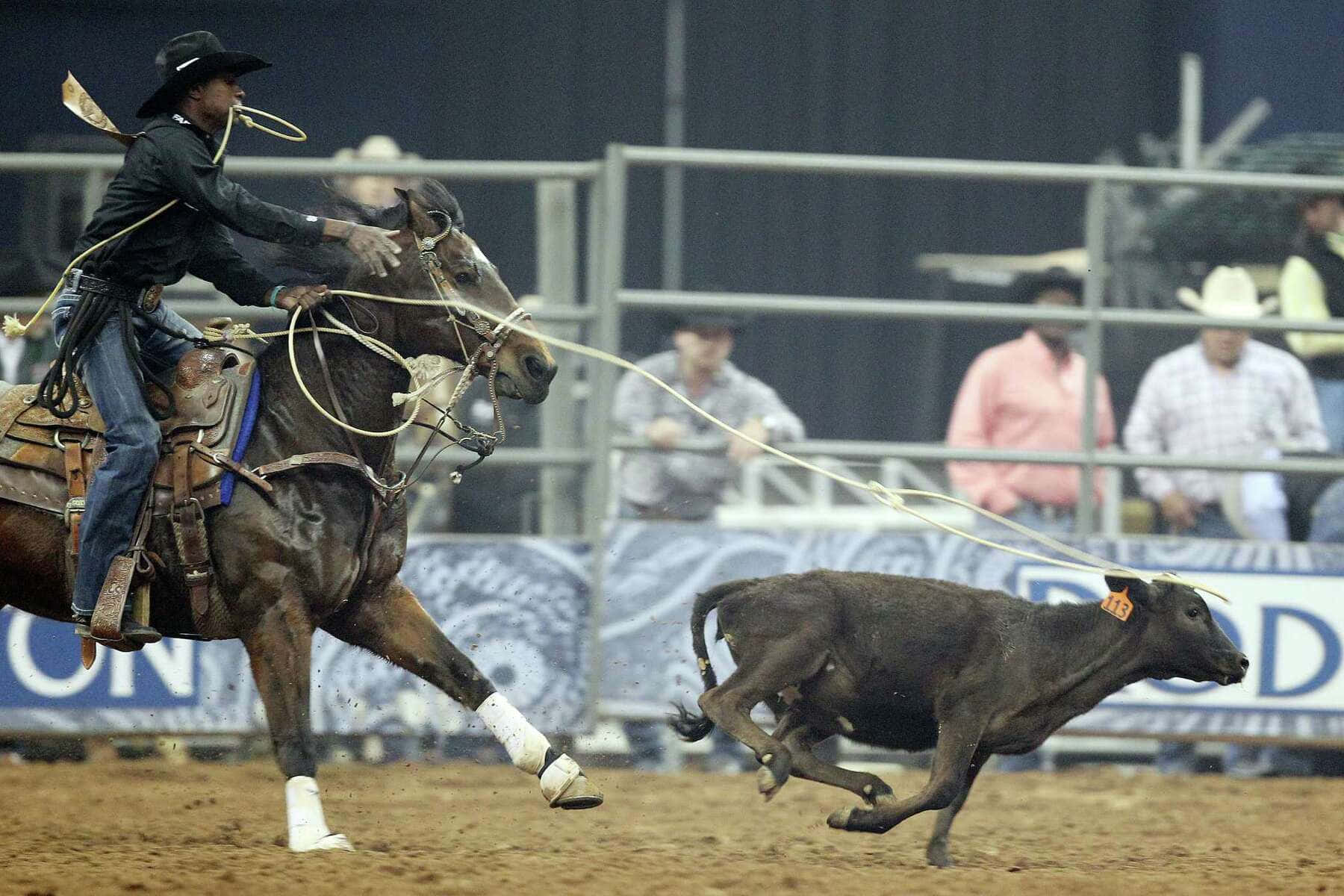 cowboy, horse, lasso, HD Desktop Wallpaper