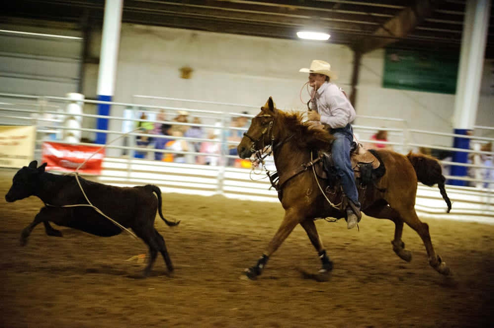 Team Roping, cowboy, galloping horse, SD Desktop Wallpaper