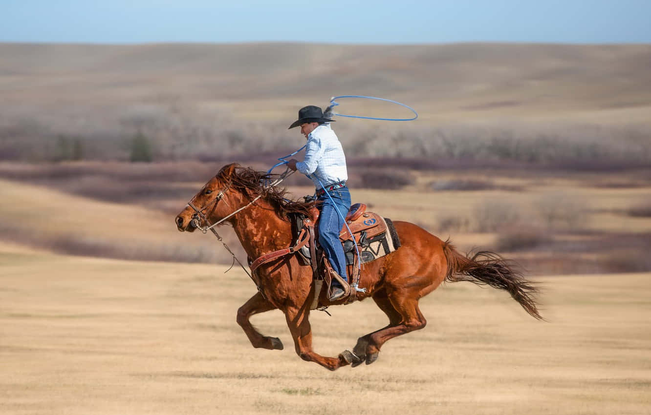 Team Roping, white shirt, black hat, HD Desktop Wallpaper