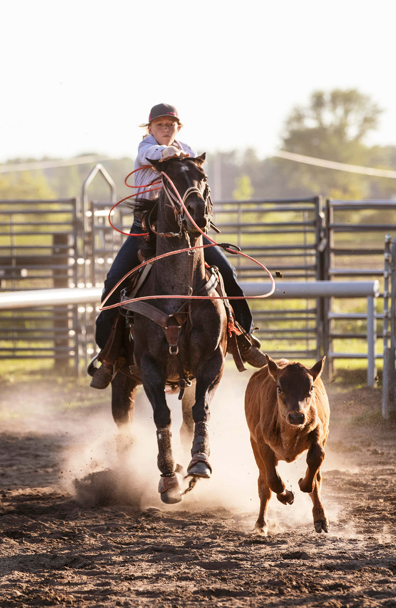 Team Roping, cowboy, galloping horse, Full HD Phone Wallpaper
