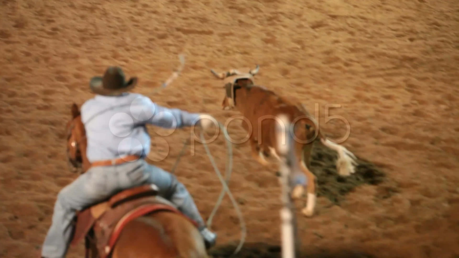 Team Roping, cowboy, bucking horse, Full HD Desktop Wallpaper