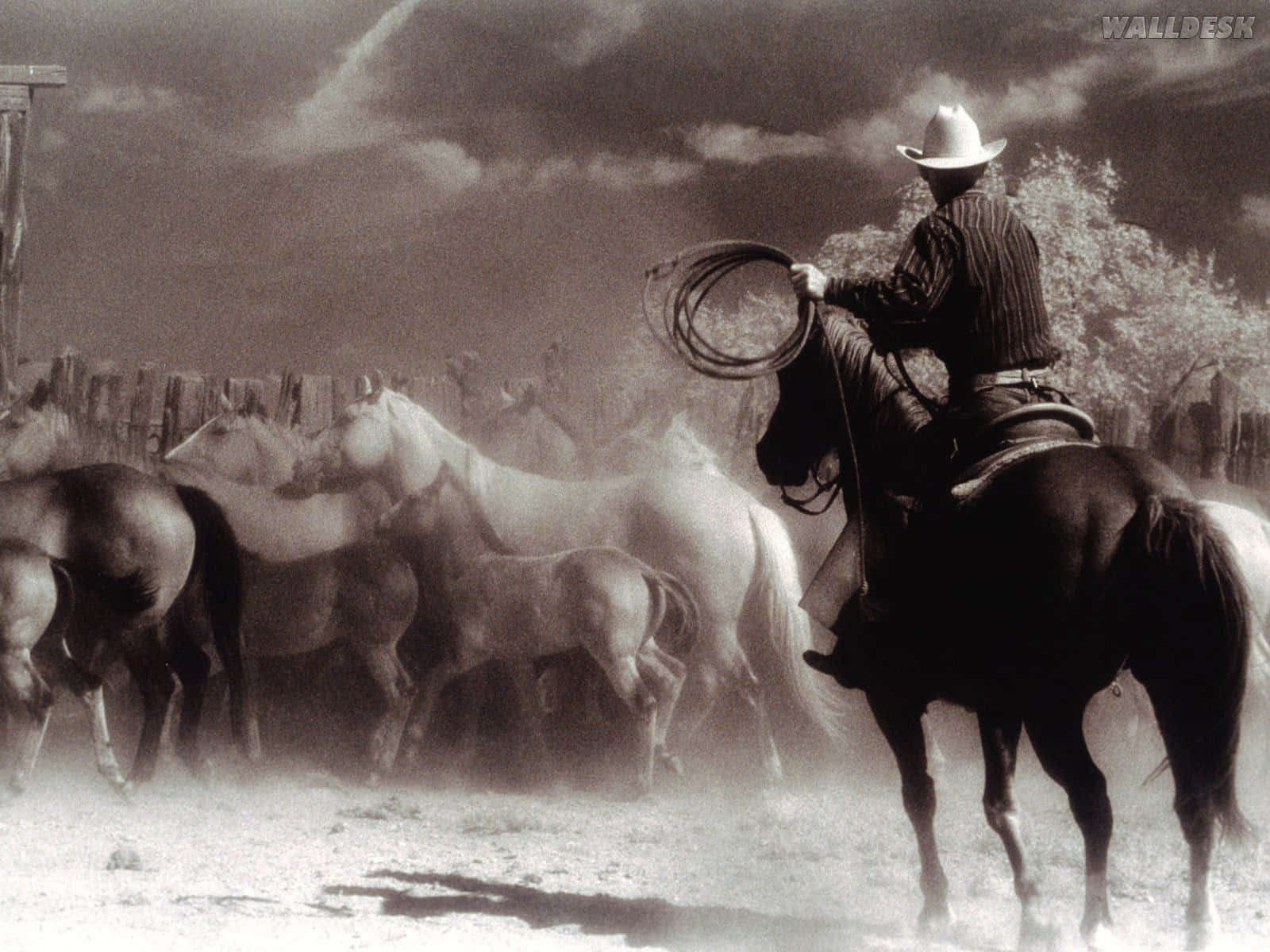 cowboy, dark horse, rustic corral, HD Desktop Wallpaper