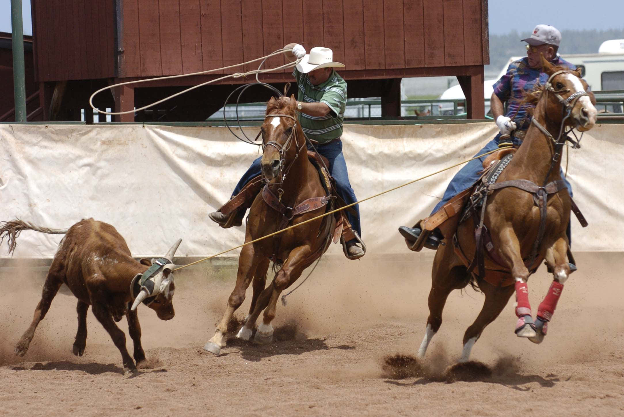 Team Roping, cowboys, galloping horses, Full HD Desktop Wallpaper