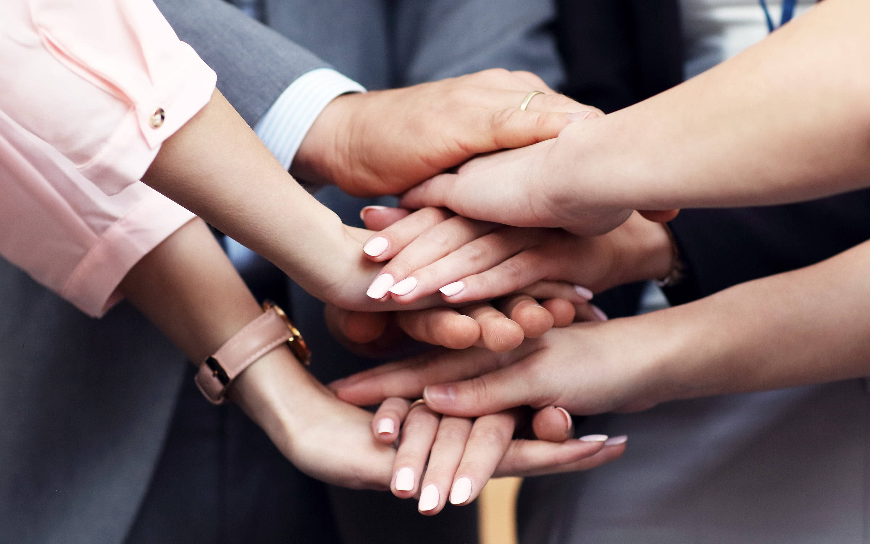 Teamwork Team, hands, diverse professionals, 2K Desktop Wallpaper