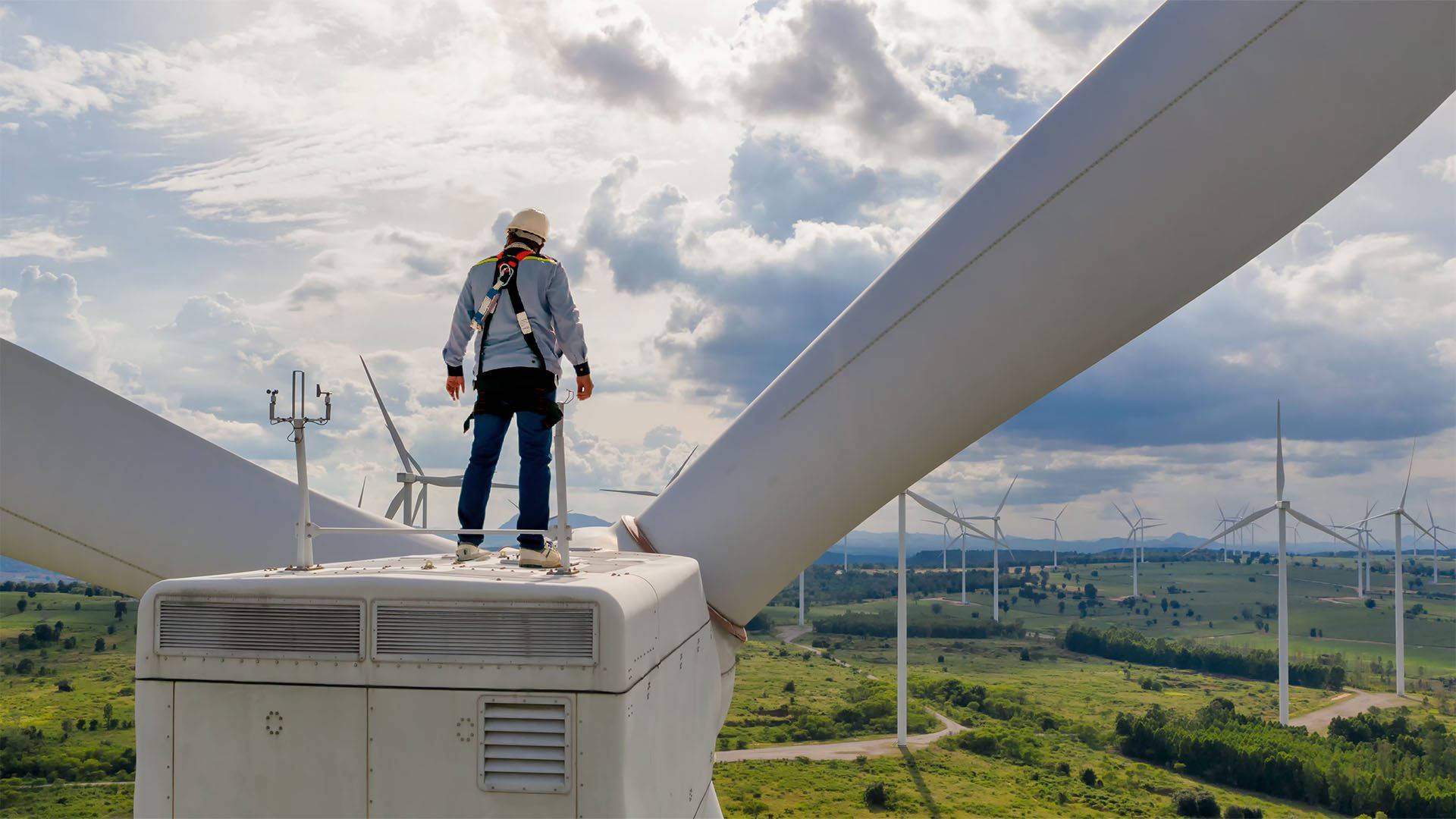 wind turbine, technician, vast field of turbines, Full HD Desktop Wallpaper