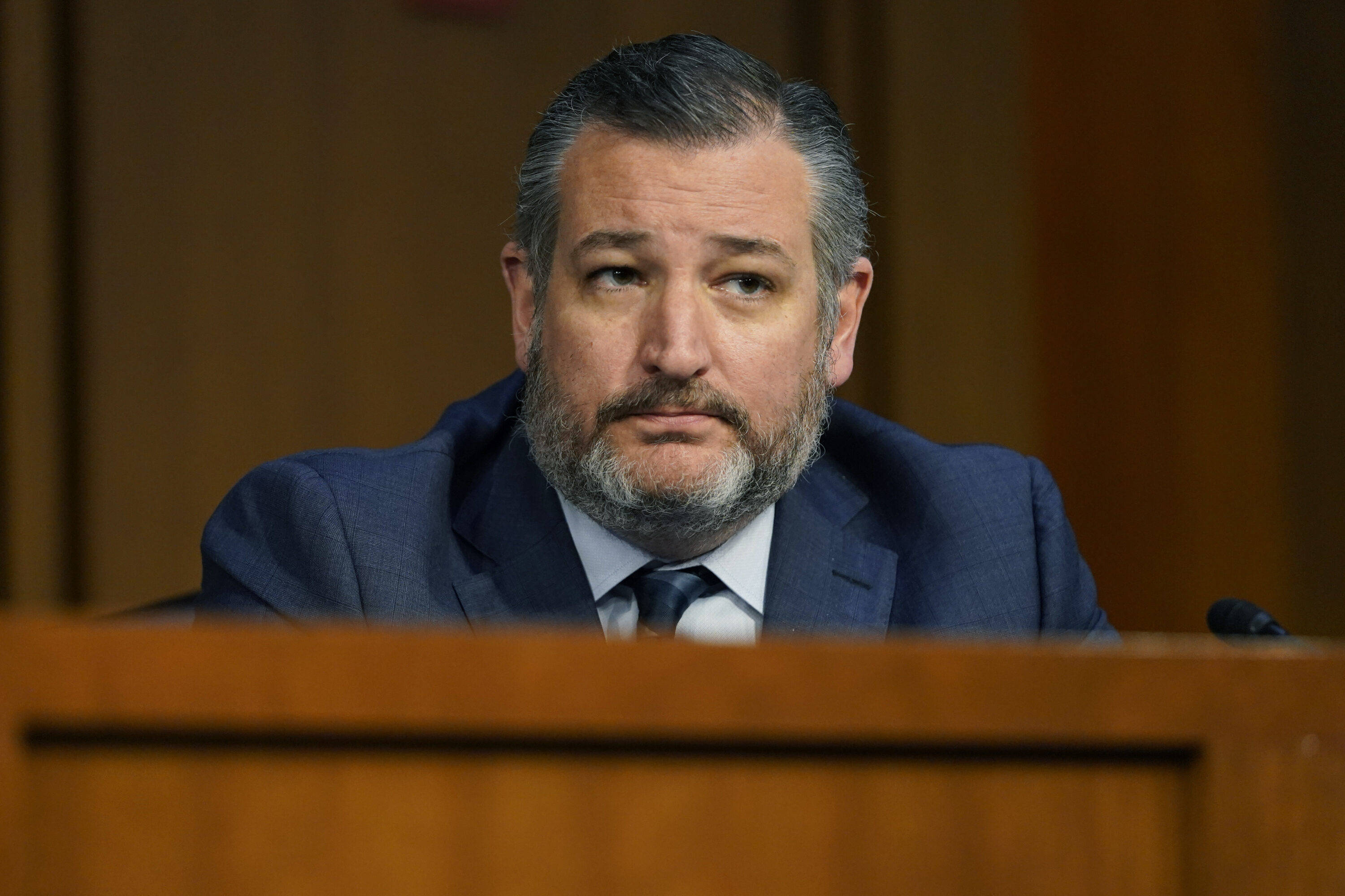 Ted Cruz, blue suit, wooden podium, 2K Desktop Wallpaper