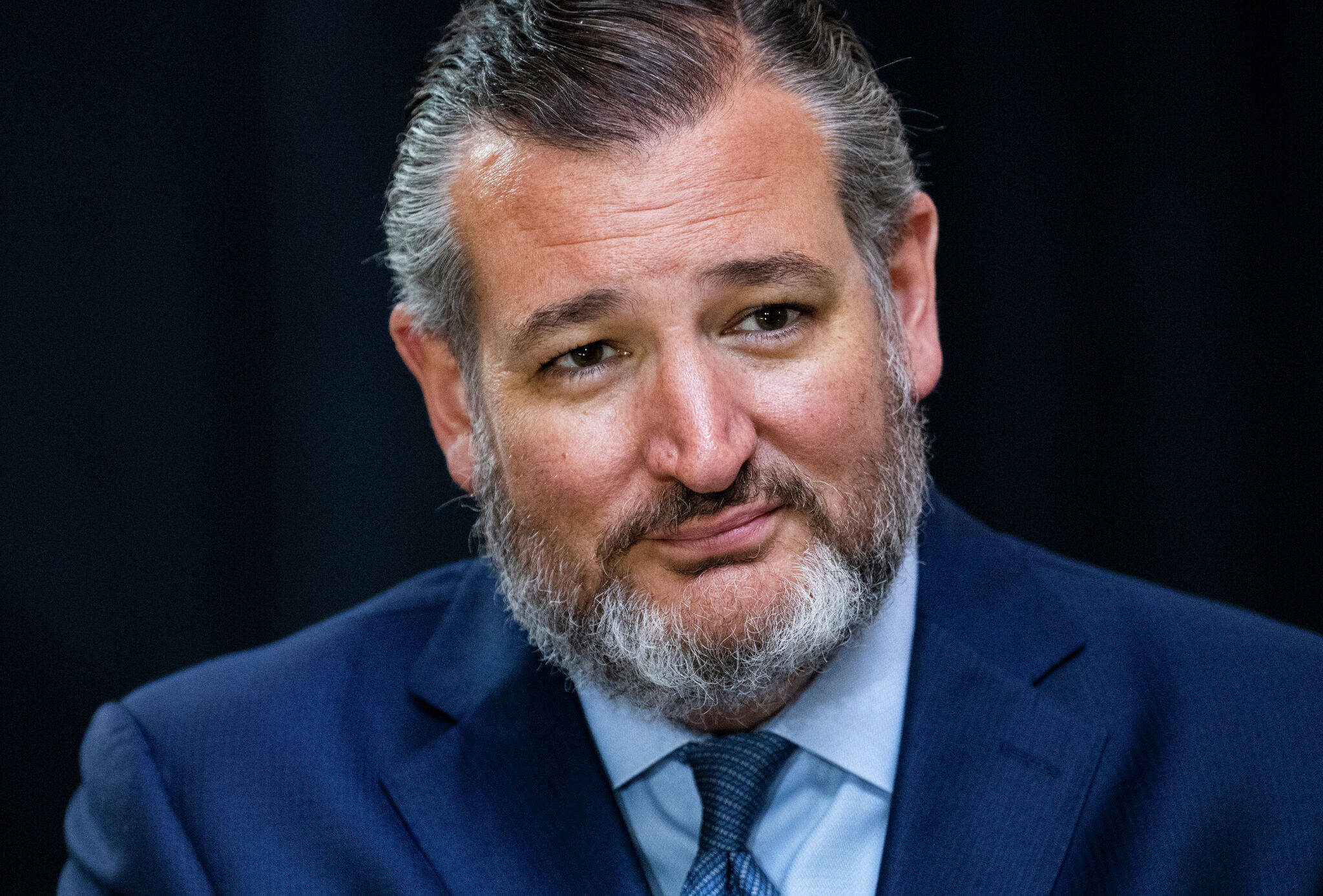Ted Cruz, gray beard, blue suit, Full HD Desktop Wallpaper