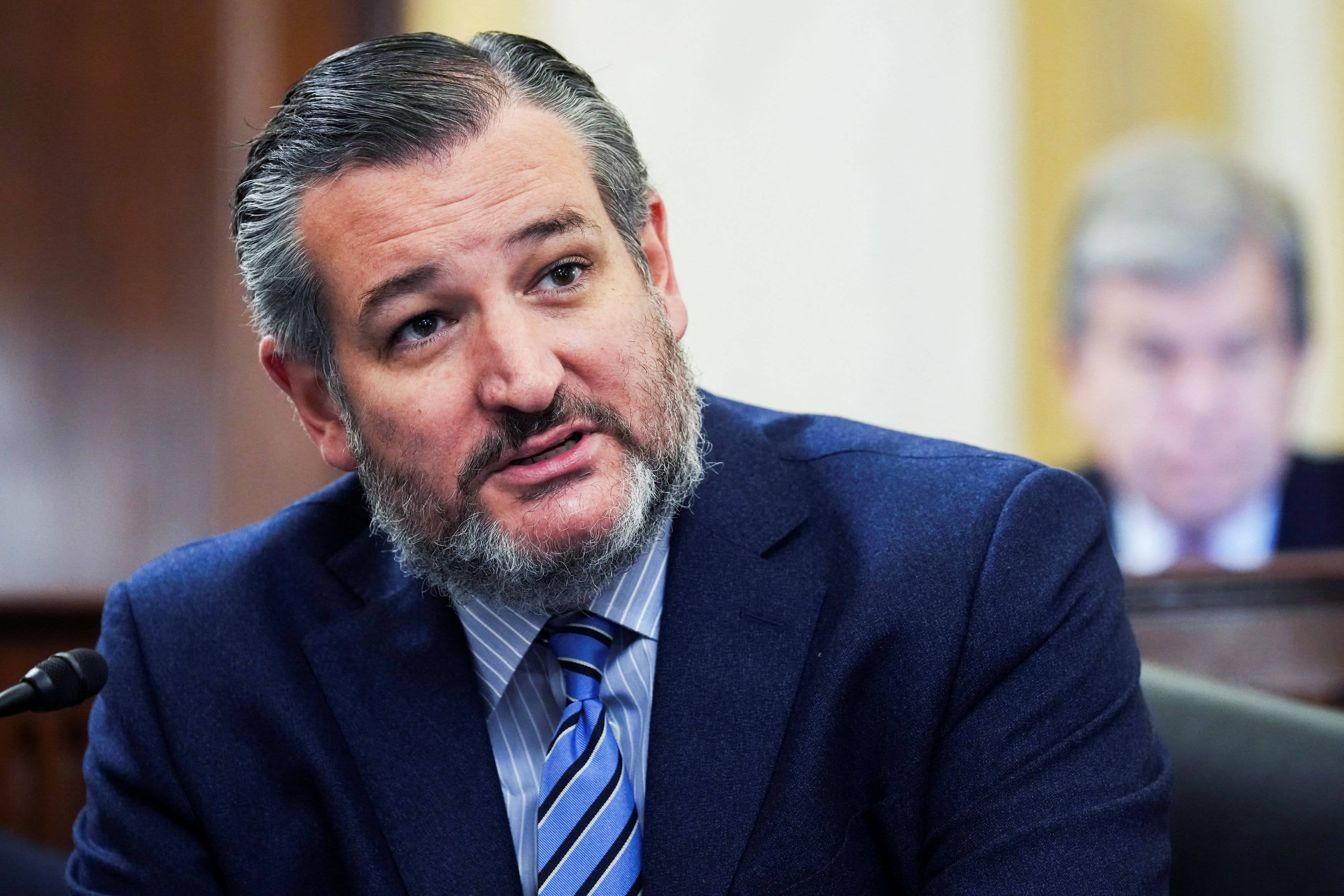 Ted Cruz, graying beard, dark suit, 2K Desktop Wallpaper