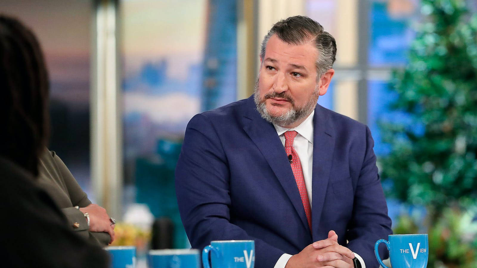 Ted Cruz, The View, navy suit, HD Desktop Wallpaper
