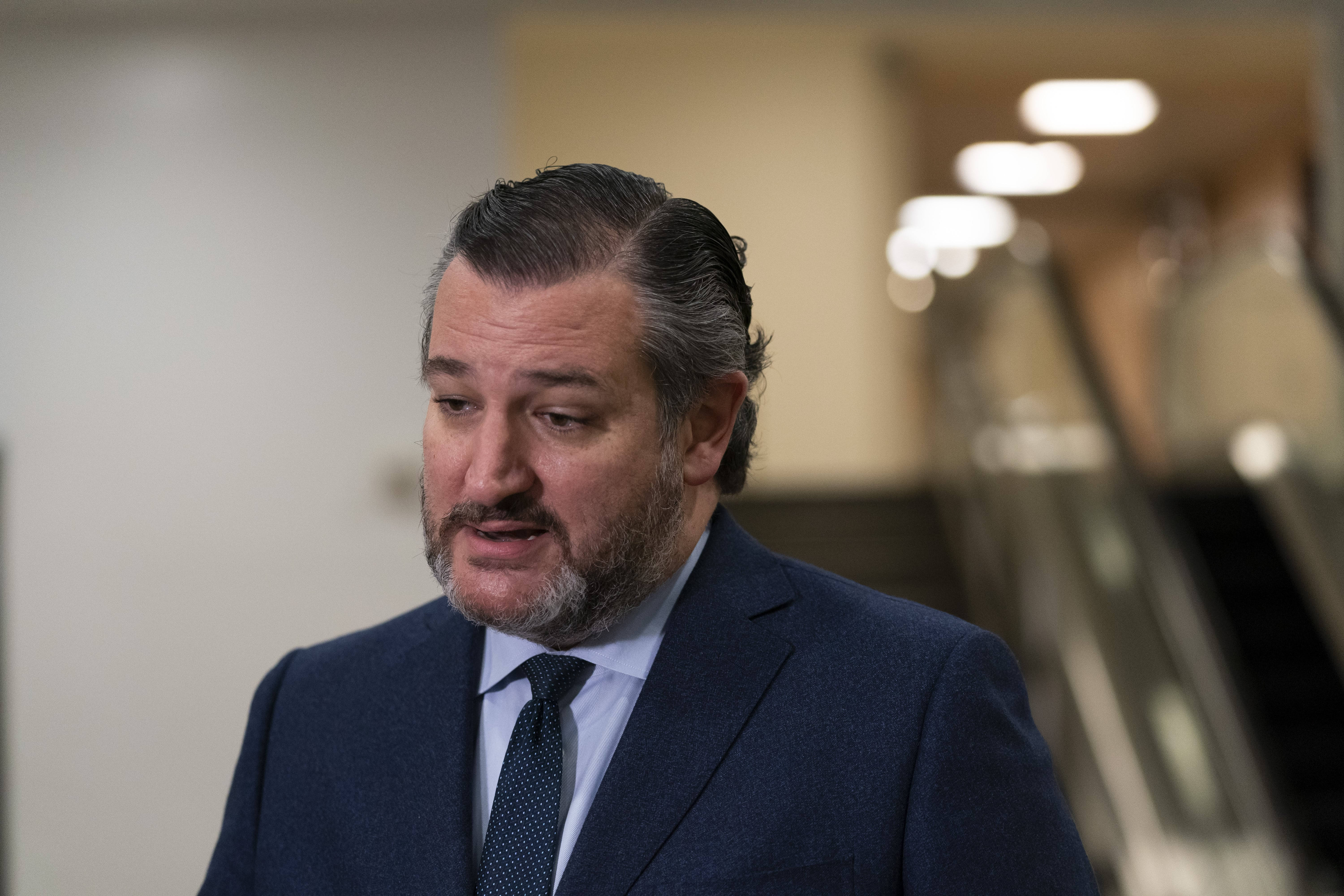 Ted Cruz, dark suit, tie, 5K Desktop Wallpaper