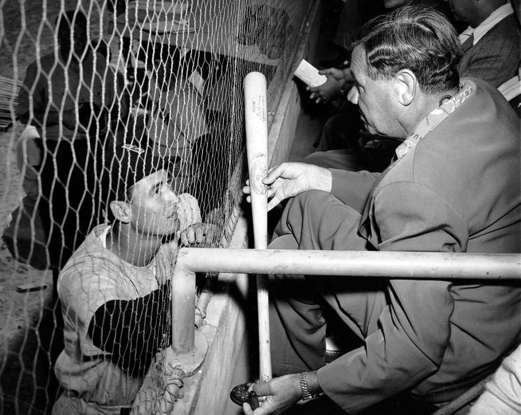 Ted Williams, dugout fence, bat, SD Desktop Wallpaper