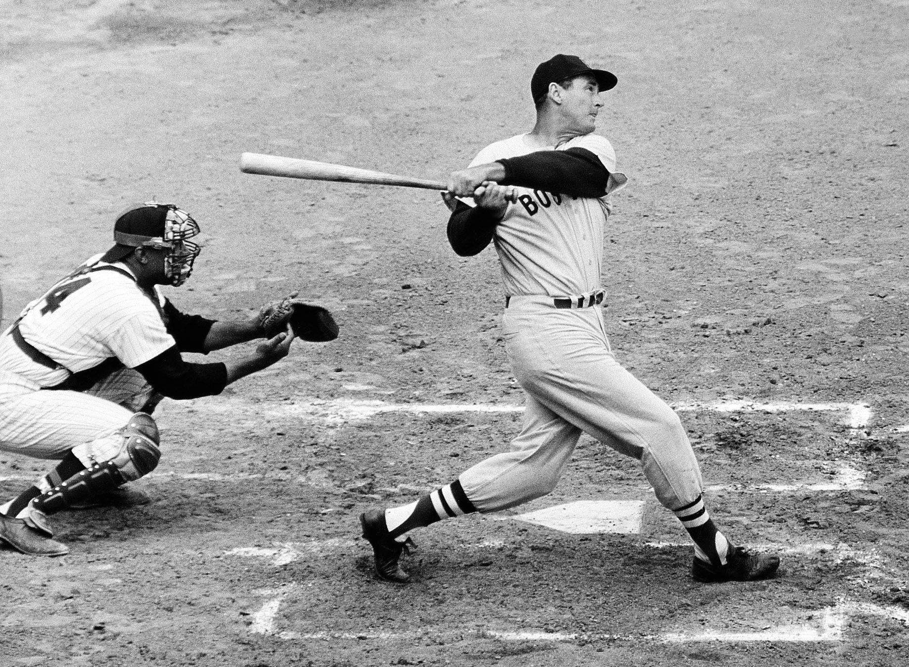 Ted Williams, baseball batter, catcher, HD Desktop Wallpaper