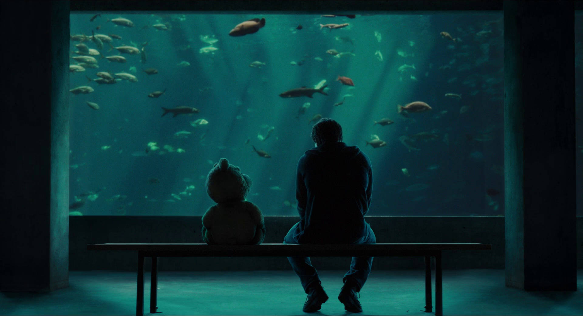 teddy bear, aquarium, blue-green light, Full HD Desktop Wallpaper