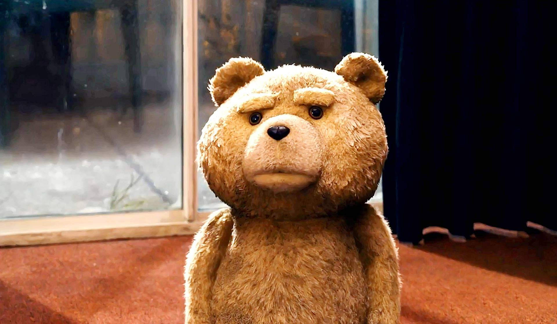 Ted, brown teddy bear, carpeted floor, Full HD Desktop Wallpaper