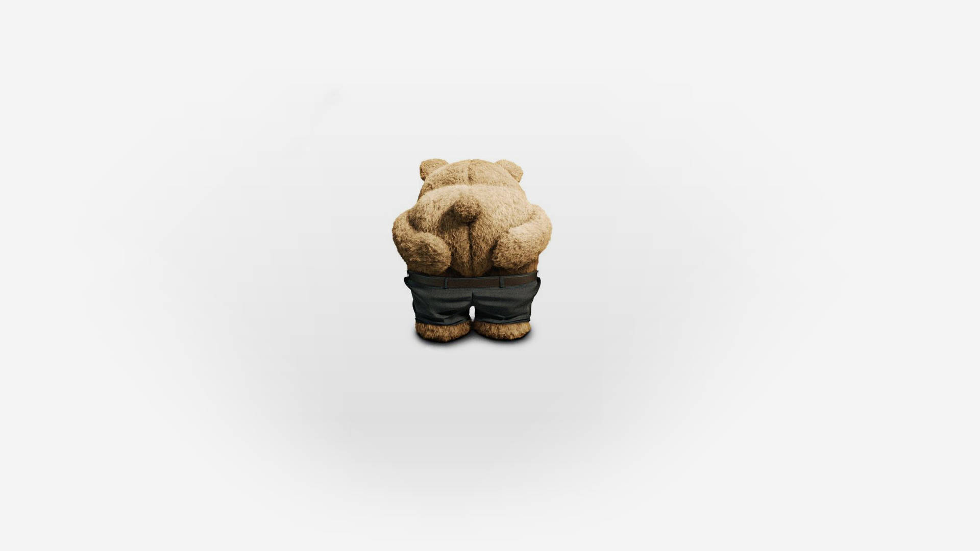 Ted, plush teddy bear, dark pants, Full HD Desktop Wallpaper