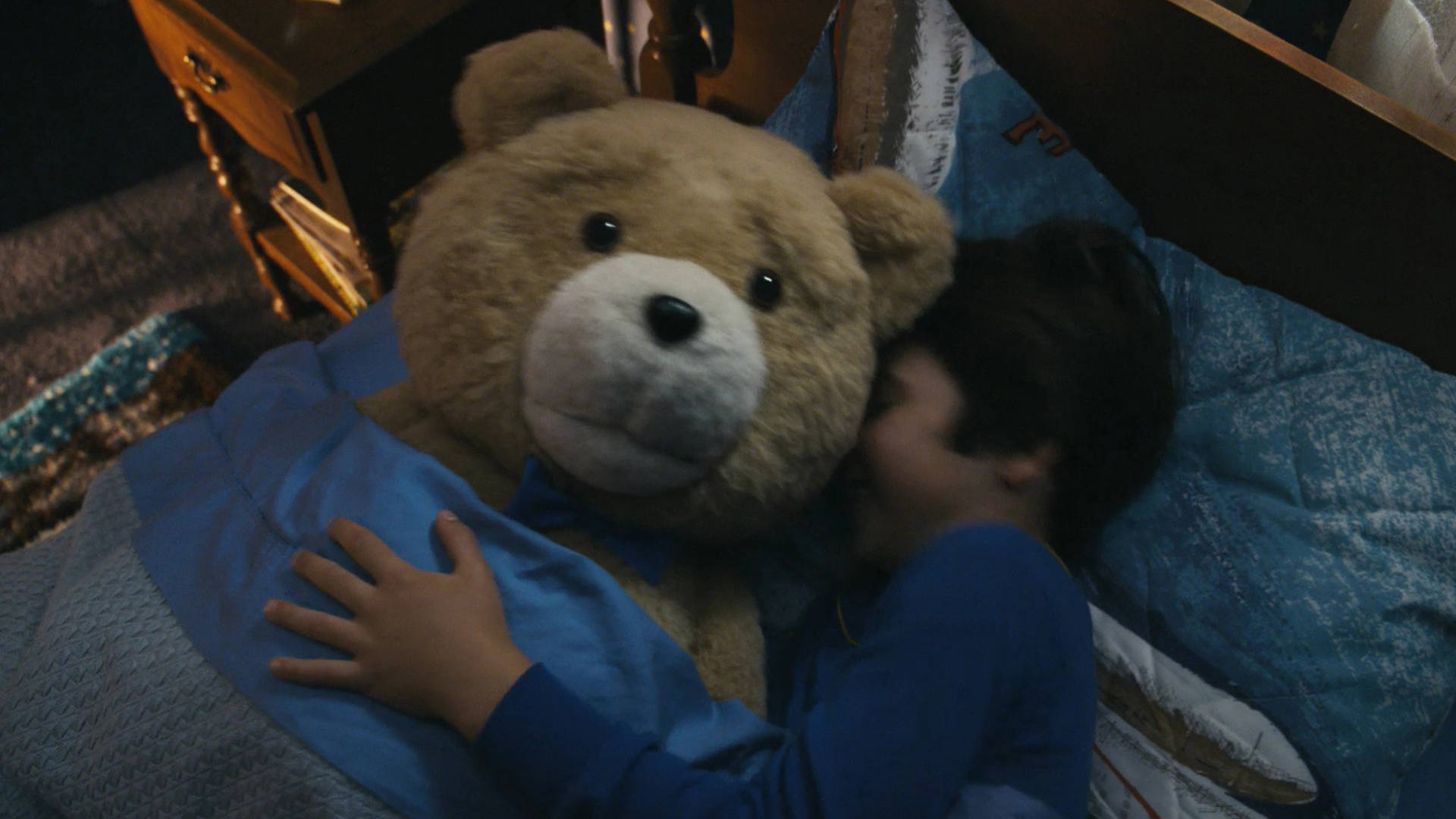 Ted, brown teddy bear, blue blankets, Full HD Desktop Wallpaper