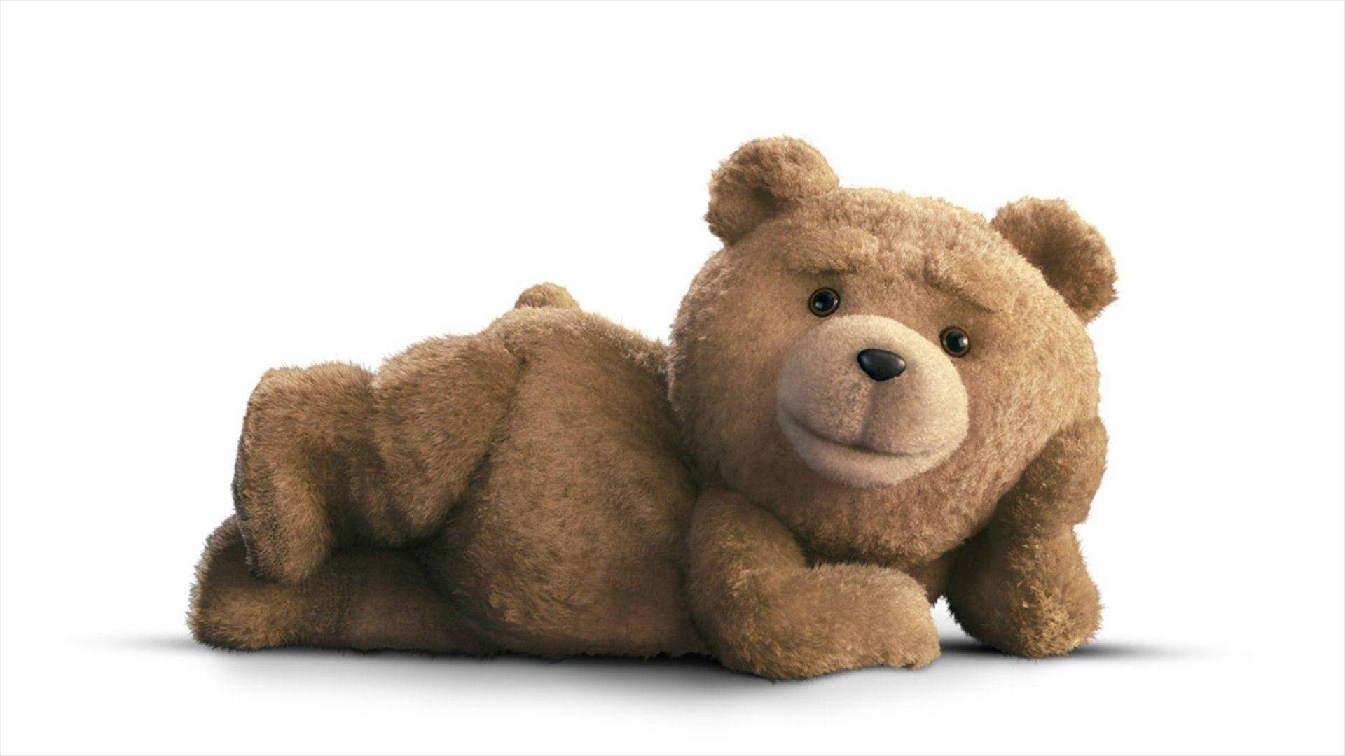 TED, fluffy brown teddy bear, stark white background, Full HD Desktop Wallpaper