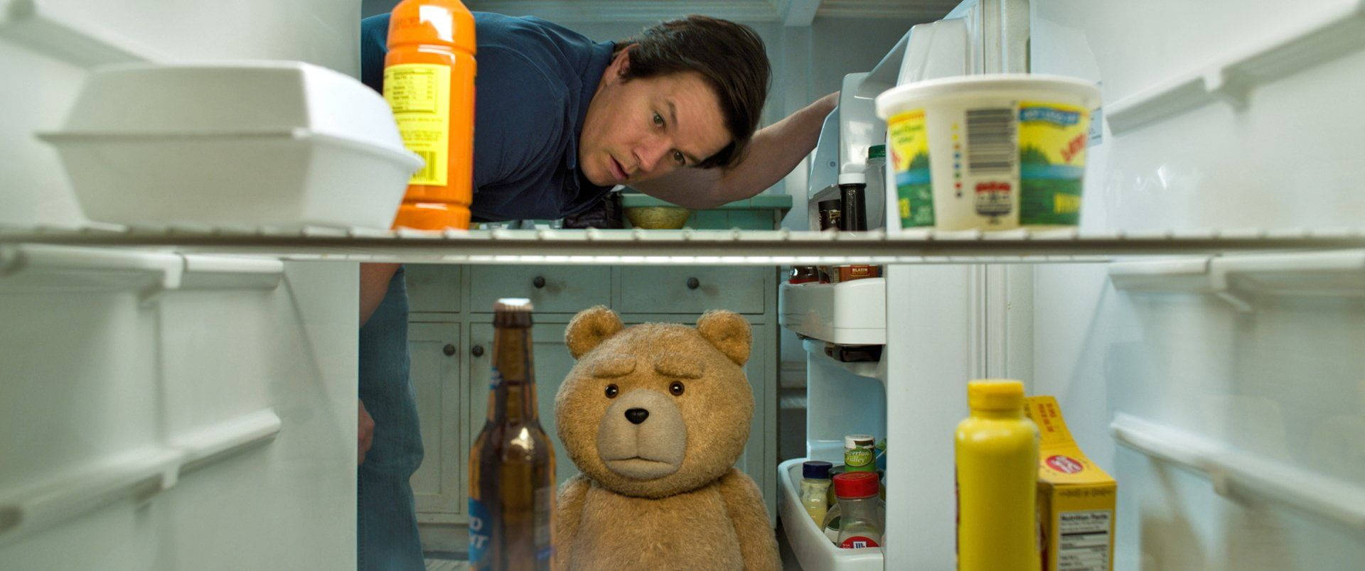 Ted, refrigerator, teddy bear, Full HD Desktop Wallpaper