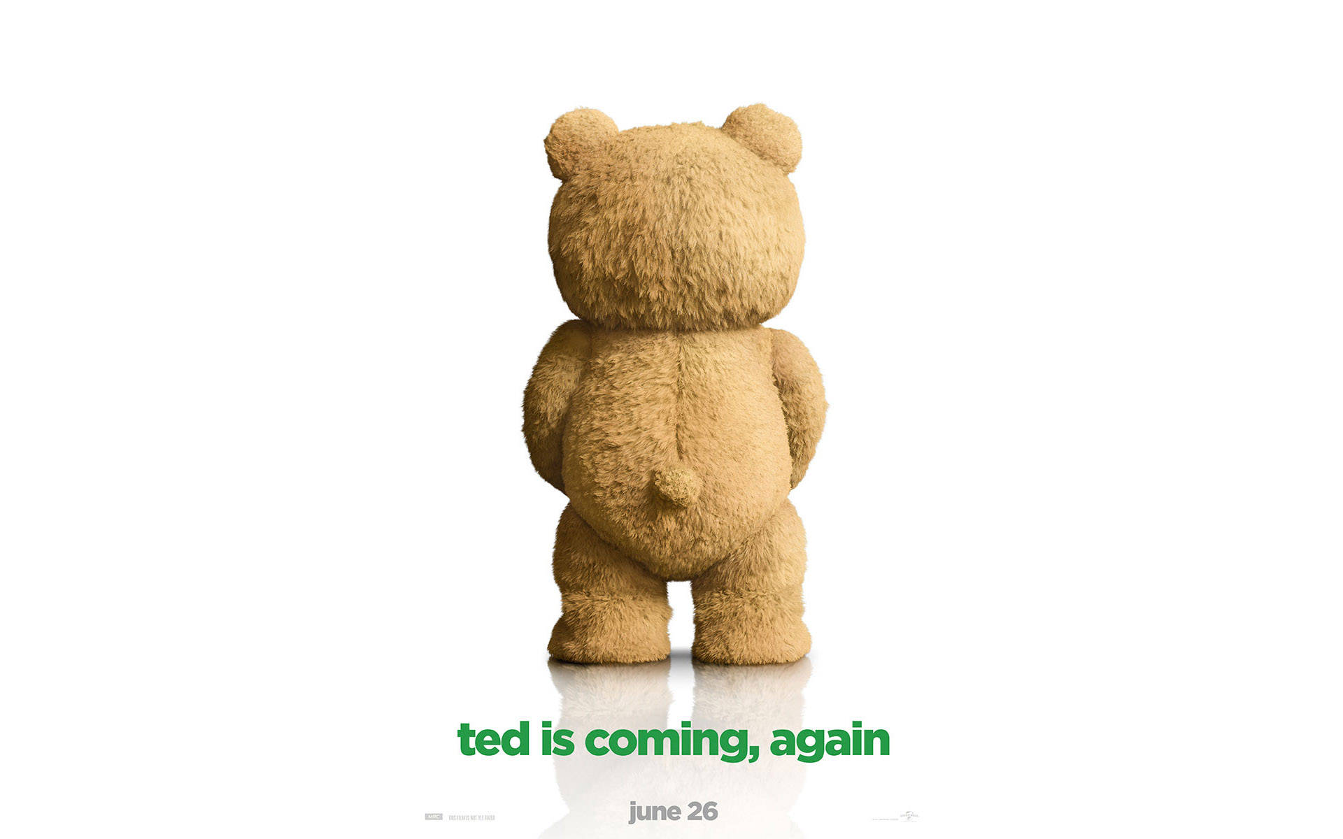 Ted, tan teddy bear, reflective white floor, Full HD Desktop Wallpaper