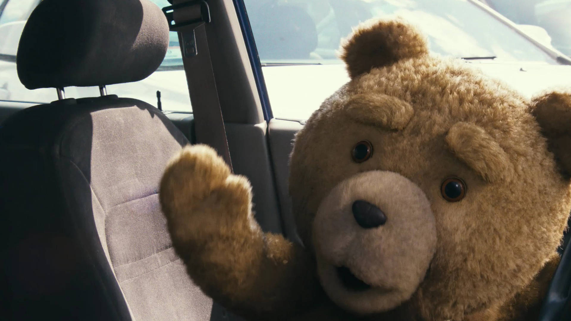 Ted, car, sunlight, Full HD Desktop Wallpaper
