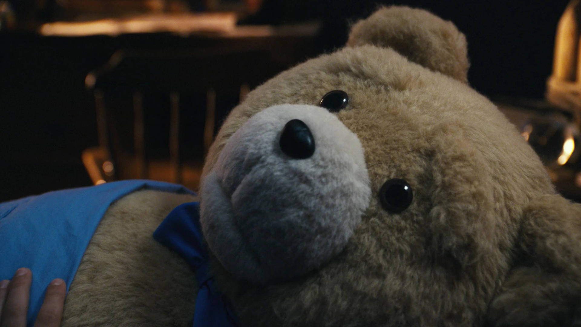 Ted, fluffy brown teddy bear, blue shirt, Full HD Desktop Wallpaper