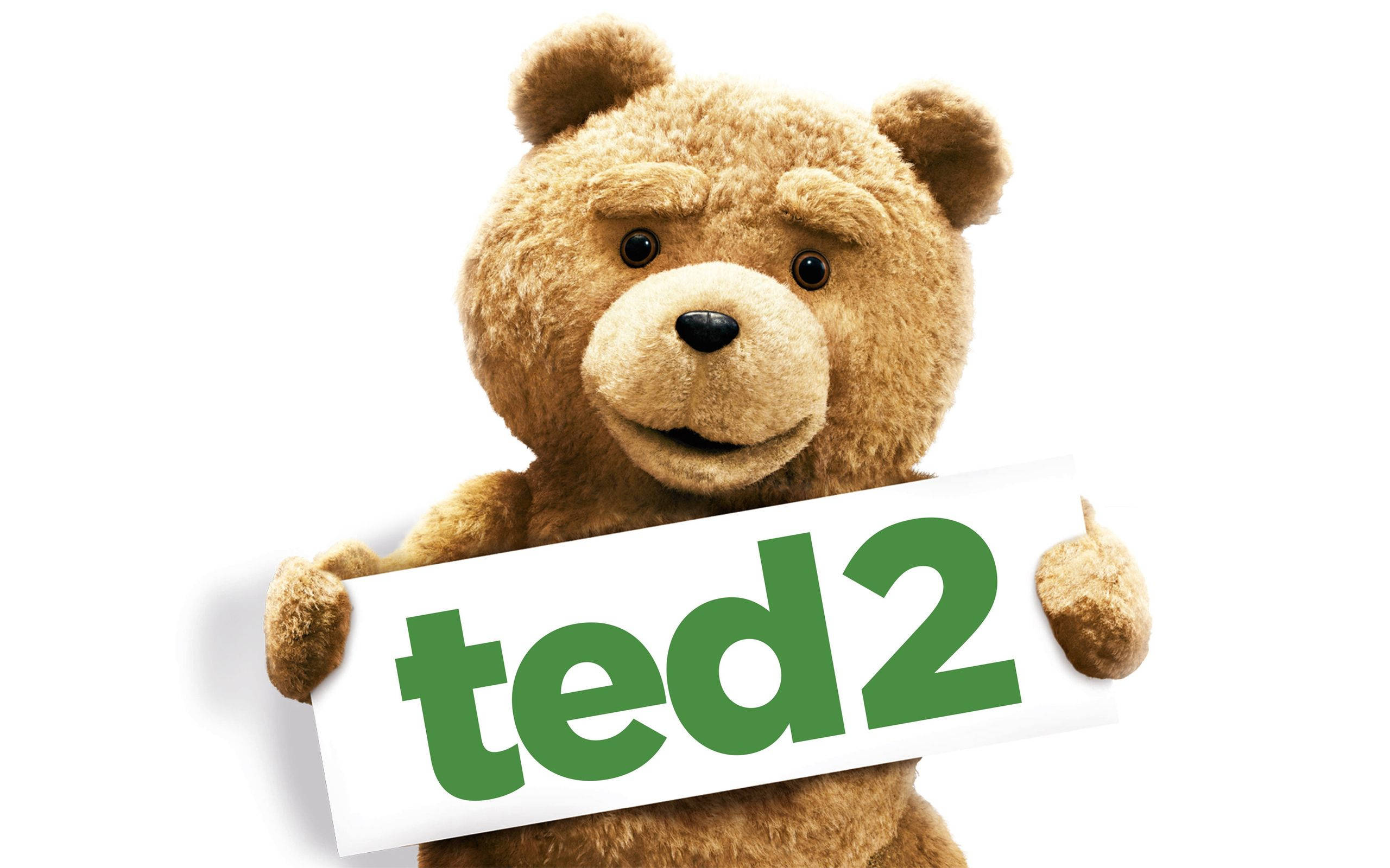 Ted 2, fluffy brown teddy bear, white sign, 2K Desktop Wallpaper