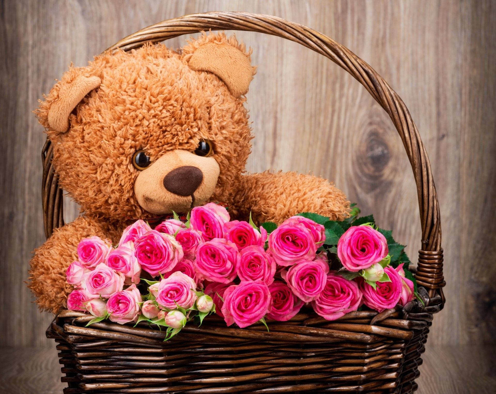 teddy bear, wicker basket, vibrant pink roses, Full HD Desktop Wallpaper