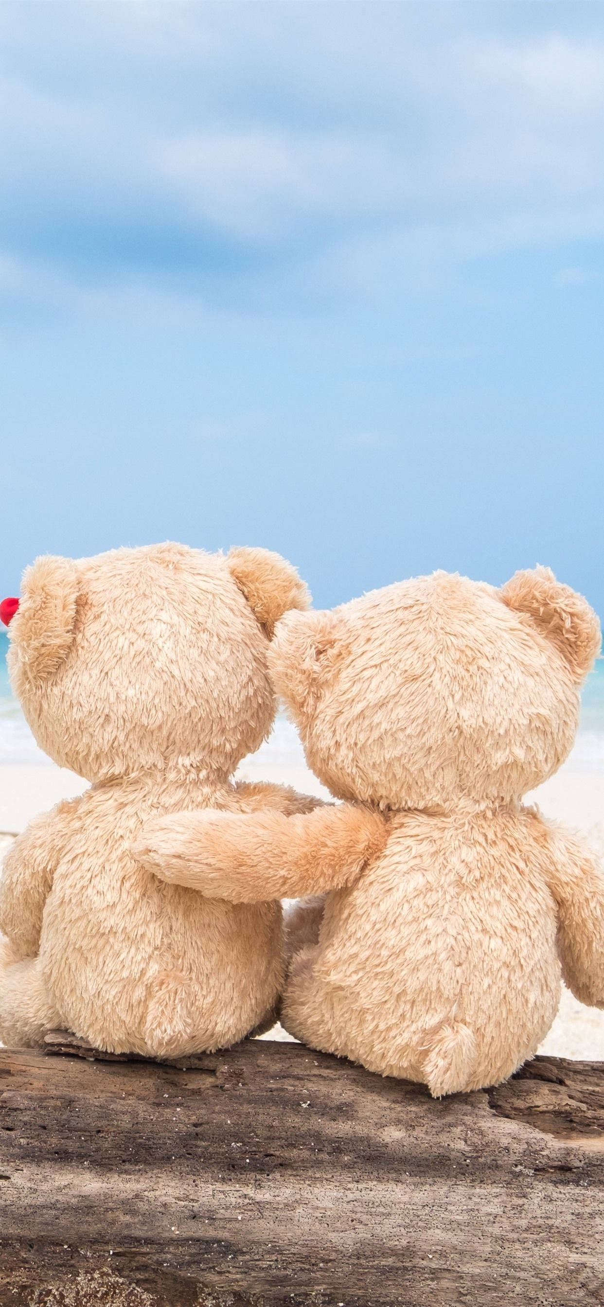 teddy bear, driftwood log, calm ocean, 2K Phone Wallpaper