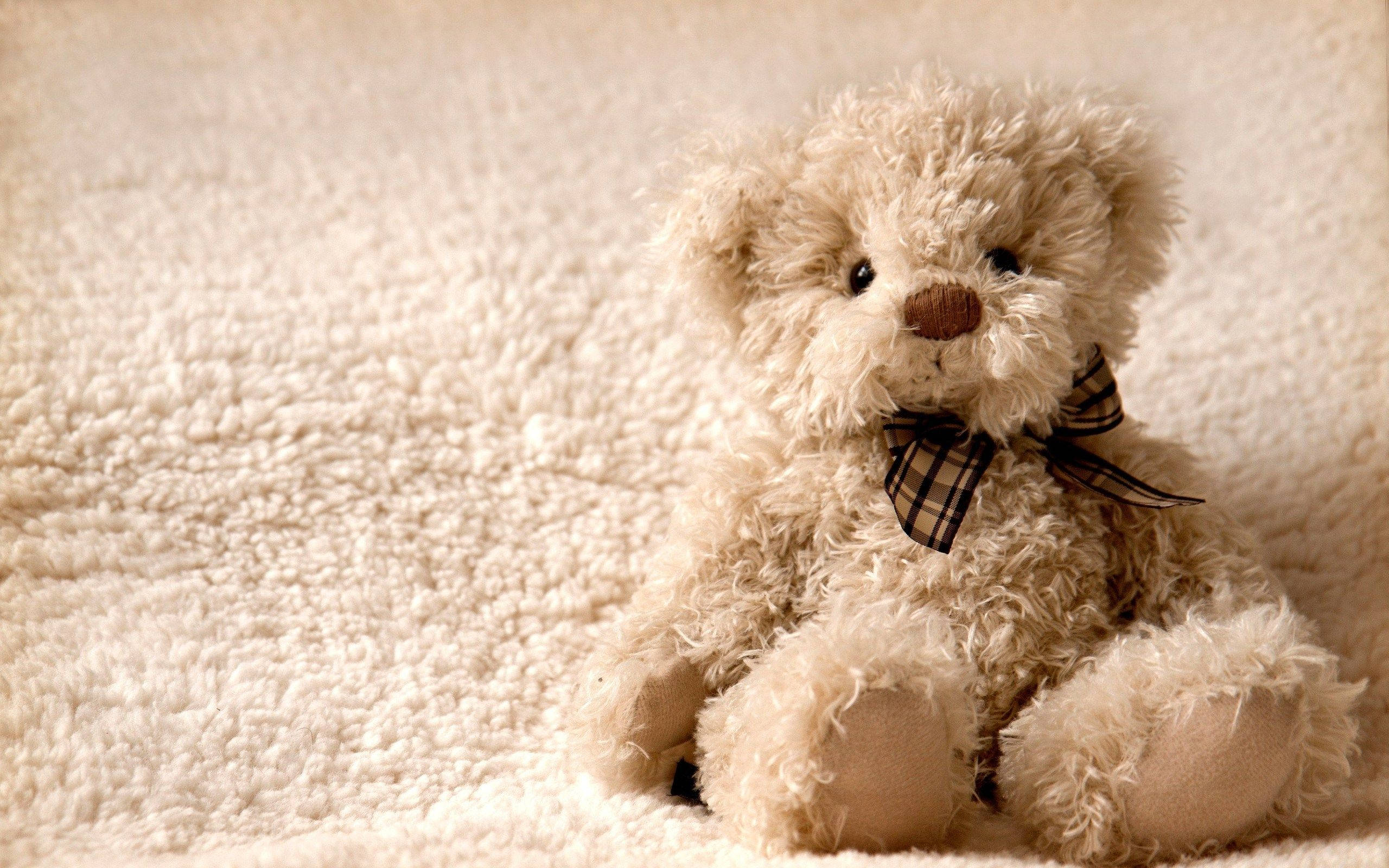 fluffy teddy bear, beige, plaid bow, 2K Desktop Wallpaper