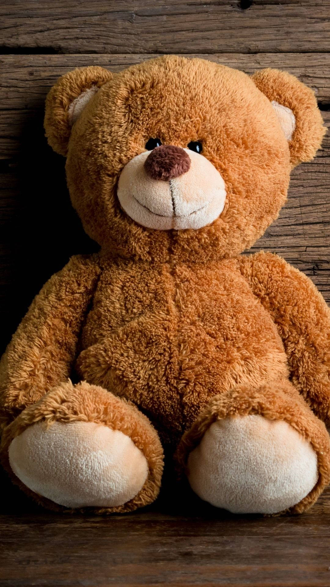 teddy bear, wooden wall, rustic wooden background, Full HD Phone Wallpaper
